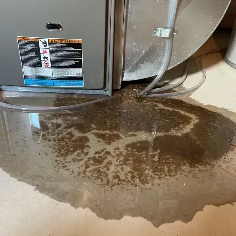 Appliance Leak Cleanup in Bloomingdale, IL